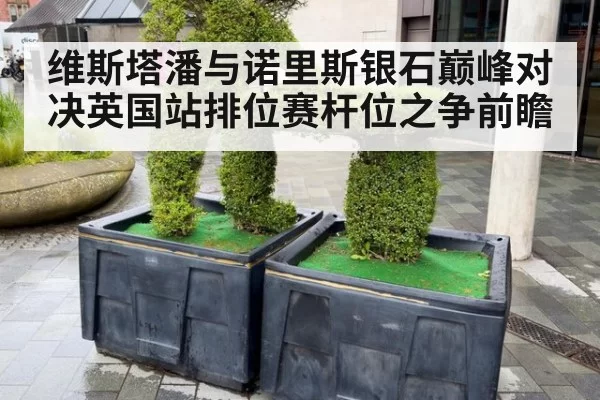 维斯塔潘与诺里斯银石巅峰对决英国站排位赛杆位之争前瞻