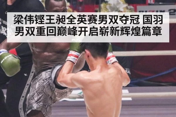 梁伟铿王昶全英赛男双夺冠 国羽男双重回巅峰开启崭新辉煌篇章